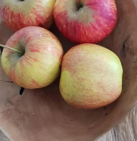 Beemsterlust Westbeemster