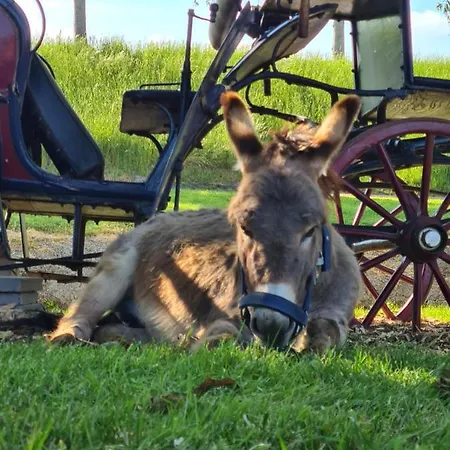 Beemsterlust Bed & Breakfast Westbeemster