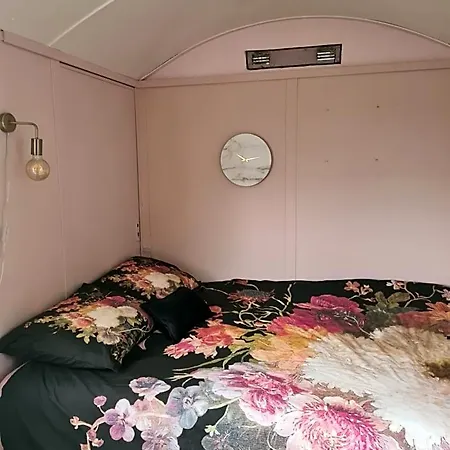 Bed & Breakfast Beemsterlust *