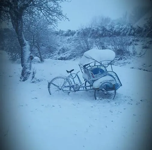 Beemsterlust Bed & Breakfast