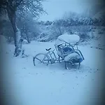 Beemsterlust Bed & Breakfast