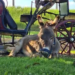 Beemsterlust Bed & Breakfast Westbeemster