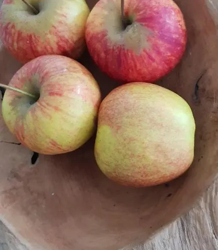 Beemsterlust Westbeemster