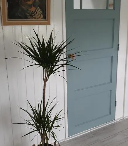 Bed & Breakfast Beemsterlust