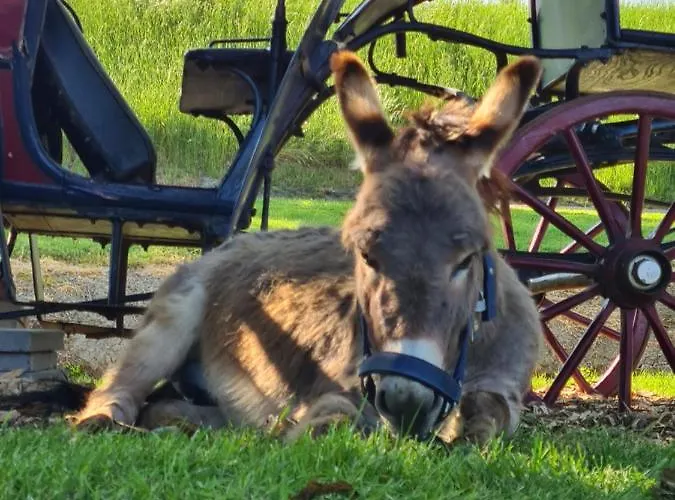 Beemsterlust Bed & Breakfast Westbeemster